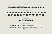 Vocity - Display Font, a Serif Font by Fikry Alfatih (Thumbnail 6 of 7)