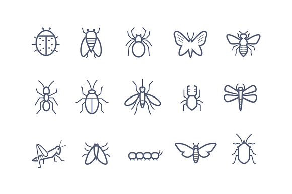 15 Insect Icons preview 5