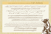 Wild Belmarty Casual Handwritten, a Script Font by Letterena Studios Script (Thumbnail 14 of 15)
