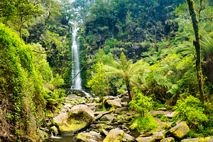 Erskine Falls Waterfall, a Nature Photo by THP Creative