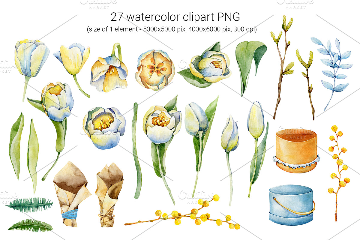 Spring tulips and mimosa, watercolor, an Illustration by Artmanata (Photo 2 of 12)