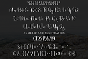 Christmas Wonderful, a Handwritten Font by FreshTypeINK (Thumbnail 8 of 8)