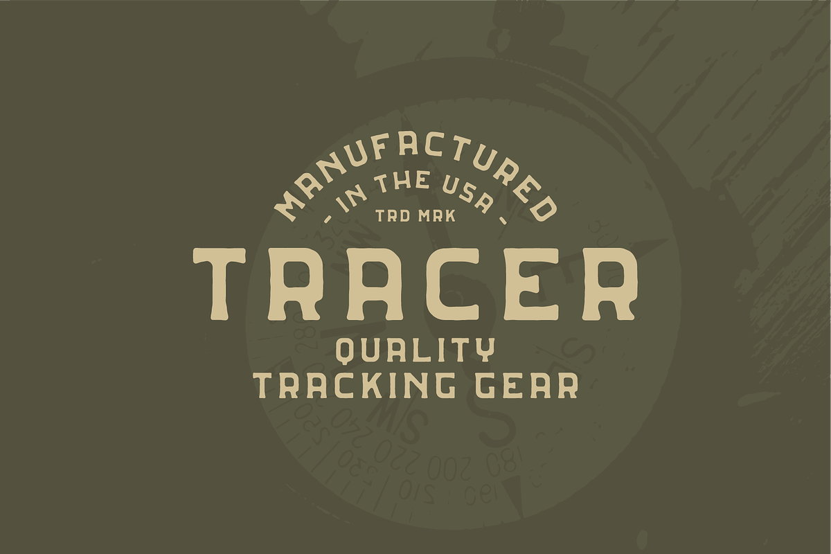 Bearing - Type Family, a Serif Font by Camber & Type (Photo 5 of 6)