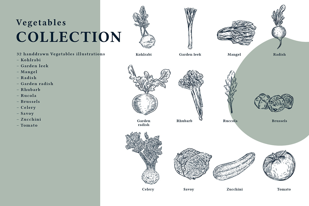 The Vegetables Collection, a Food Illustration by dicreate (Photo 2 of 14)