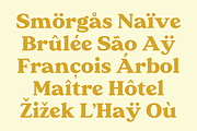 Caldor - Retro Serif Font, a Serif Font by Indotype Foundry (Thumbnail 7 of 10)
