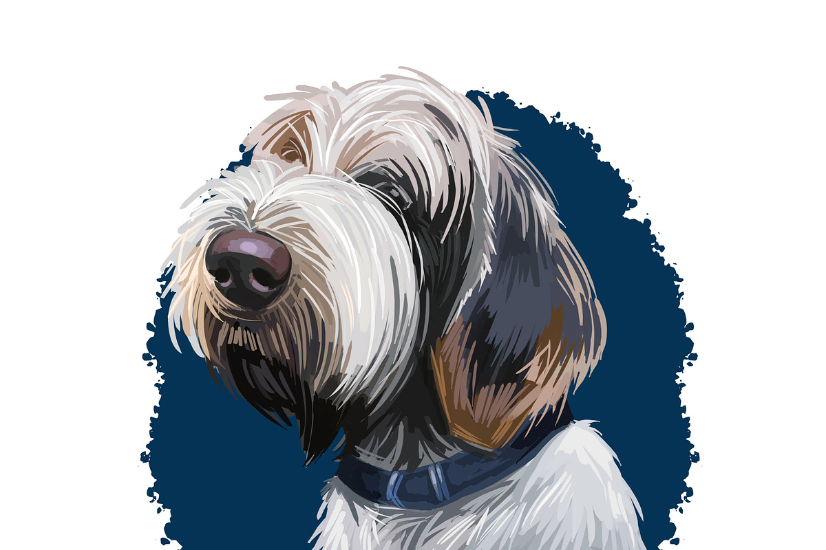 Puppies Dog Breeds Big Bundle 135Pcs, an Animal Illustration by Dneprstock (Photo 68 of 68)