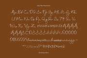 CS Ariana Disco, a Script Font by Craft Supply Co. (Thumbnail 8 of 8)