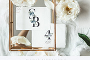 Dusty Blue- Watercolor floral Set, an Illustration by Grace Noboa Illustrations (Thumbnail 7 of 9)