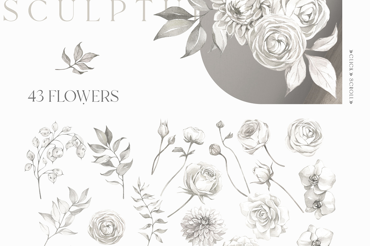 SCULPTURE White flowers collection, a Decorative Illustration by Anastezia Luneva (Photo 7 of 9)