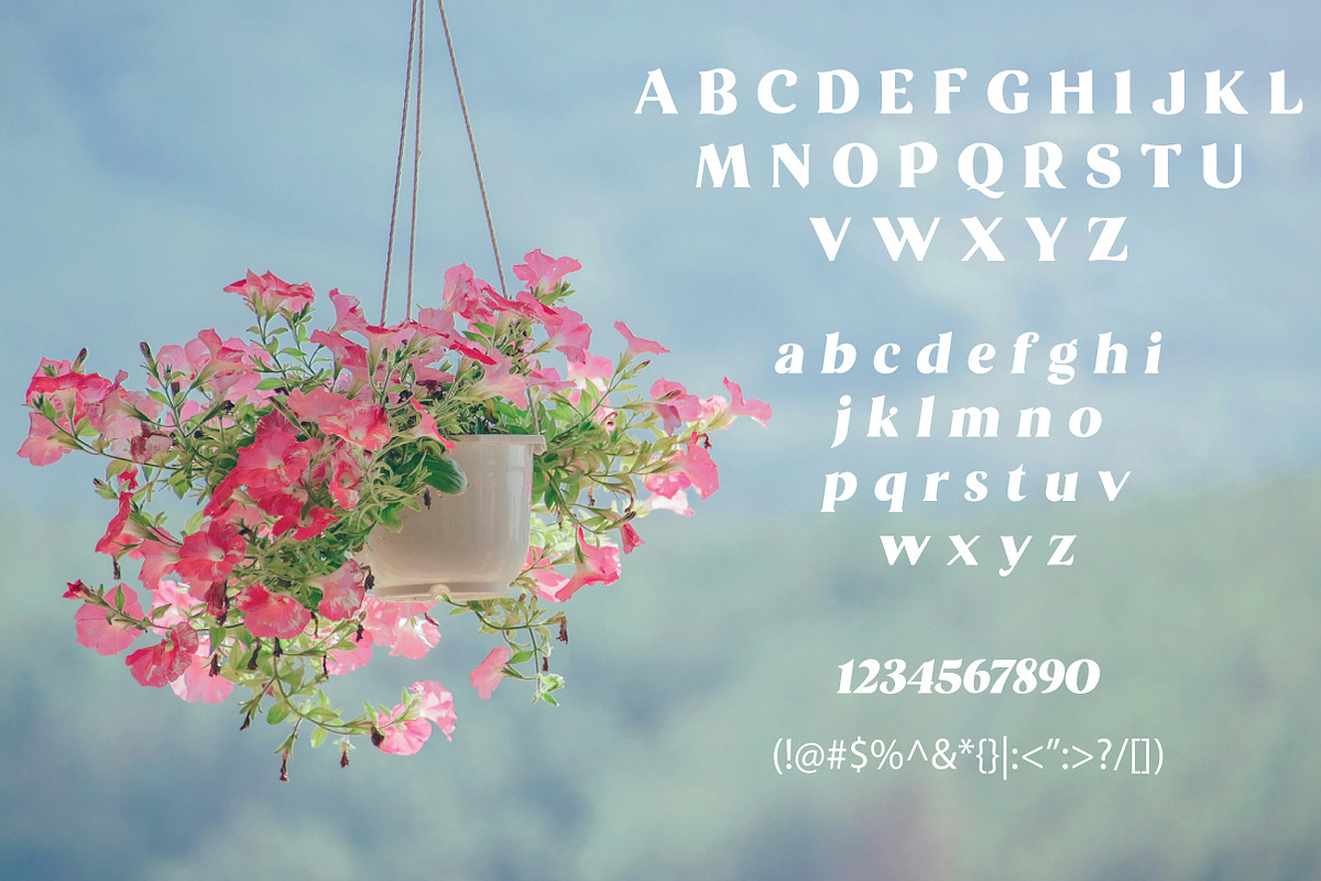 Elyvian | Modern Elegant Serif Typef, a Serif Font by Artdez (Photo 3 of 5)