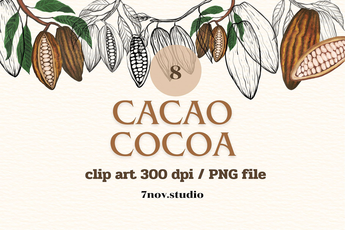 Cacao Cocoa, a Food Illustration by 7nov.studio (Photo 1 of 3)