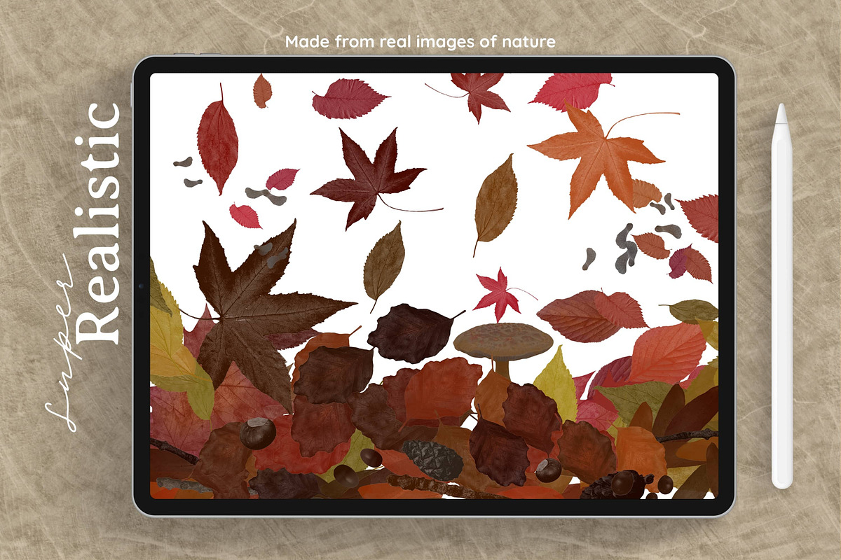 Autumn Magic for Procreate, a Brush Add-On by AJ Brushes (Photo 2 of 10)