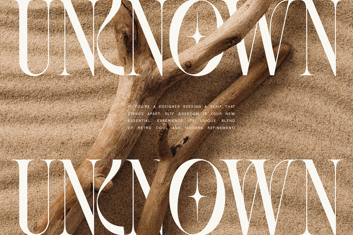 SLTF BOXROOM - Modern Serif Typeface, a Serif Font by SilverStag Type Foundry (Photo 8 of 30)