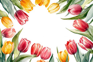 Watercolor Tulips Frame Spring Flowe, a Photo by Pixeness Studio