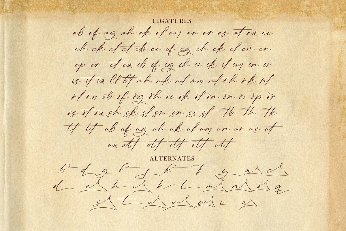 Hogestory - Stylish Signature, a Script Font by Graha Type (Photo 11 of 12)