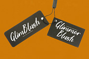 Tropical Crystals Bold Calligraphy, a Script Font by stylishtype.co (Thumbnail 13 of 20)