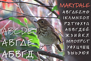 Marydale (family), a Script Font by Three Islands Press (Thumbnail 2 of 6)