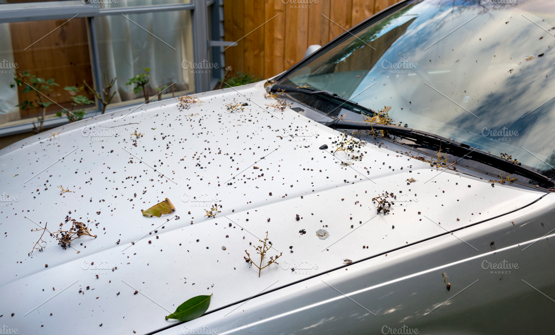 Dirty Car, a Transportation Photo by THP Creative