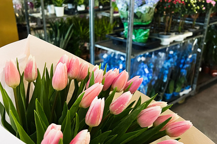 Bouquet of pink tulips arranged in a flower shop with various plants visible, a Photo by AS photostudio