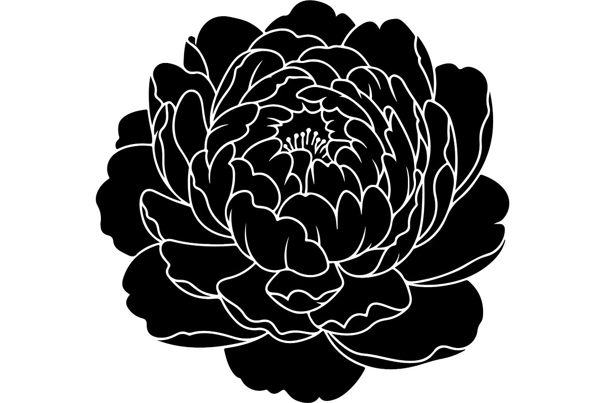 Peony Flower Silhouette, an Object Graphic by Designer_Momina (Photo 6 of 18)