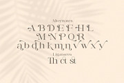 Awaken - Casual Serif Font, a Serif Font by StringLabs (Thumbnail 11 of 11)