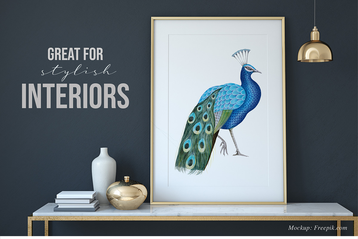 JAI Collection, a Decorative Illustration by Dana Designs (Photo 8 of 14)