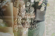 The Blooming Lovely Font Duo, a Script Font by Nicky Laatz (Thumbnail 9 of 28)