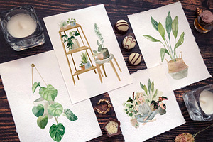 Cosy House Plants Watercolor Clipart