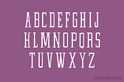 Fairtrade, a Slab Serif Font by Fresh Pressed Fonts (Thumbnail 2 of 5)
