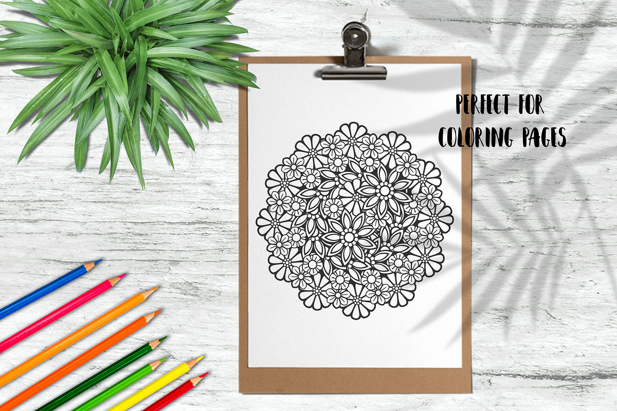 Floral Mandala Bundle, a Decorative Illustration by Elinorka (Photo 6 of 11)