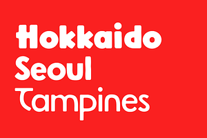 Hoki Font Family