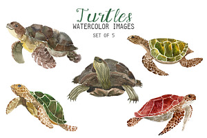 Watercolor Turtles Clipart