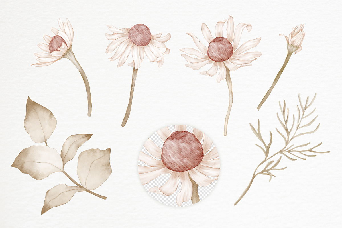 Hydrangea Daisy Flowers Pattern, an Illustration by PawGraphic (Photo 3 of 10)