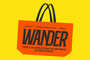 IC Pearson Neue - Font Duo, a Serif Font by IronbirdCreative (Thumbnail 6 of 9)