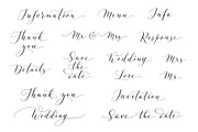 Collection of Wedding calligraphy, a Decorative Illustration by Olga Proz (Thumbnail 2 of 8)