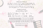 Beauty | Script Font, a Handwritten Font by Scratchones (Thumbnail 8 of 9)