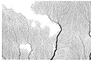 Growth - 50 Backgrounds, a Texture Graphic by GarryKillian (Thumbnail 22 of 51)