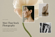150 Editorial Stock Photos | Allure, a Person Photo by Adam and Grace (Thumbnail 6 of 20)