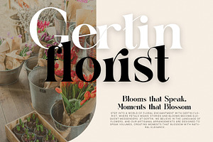 Migko Modern Ligature Serif Font