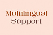 Mestro Serif || Modern Ligature, a Serif Font by ToniStudio (Thumbnail 10 of 10)