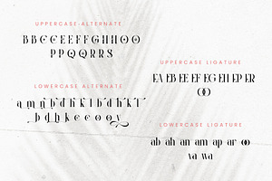 Clamoe Modern Serif Font