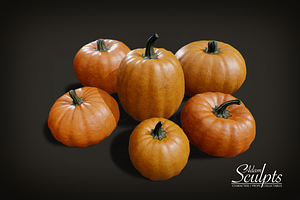 Pumpkin Basic Selection, a Food & Drink 3D Model by Adam Sculpts