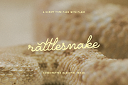 Rattlesnake, a Script Font by MEG BURK CHOI (Thumbnail 1 of 6)