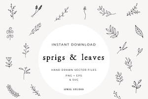 Hand Drawn Leaves & Sprigs Elements