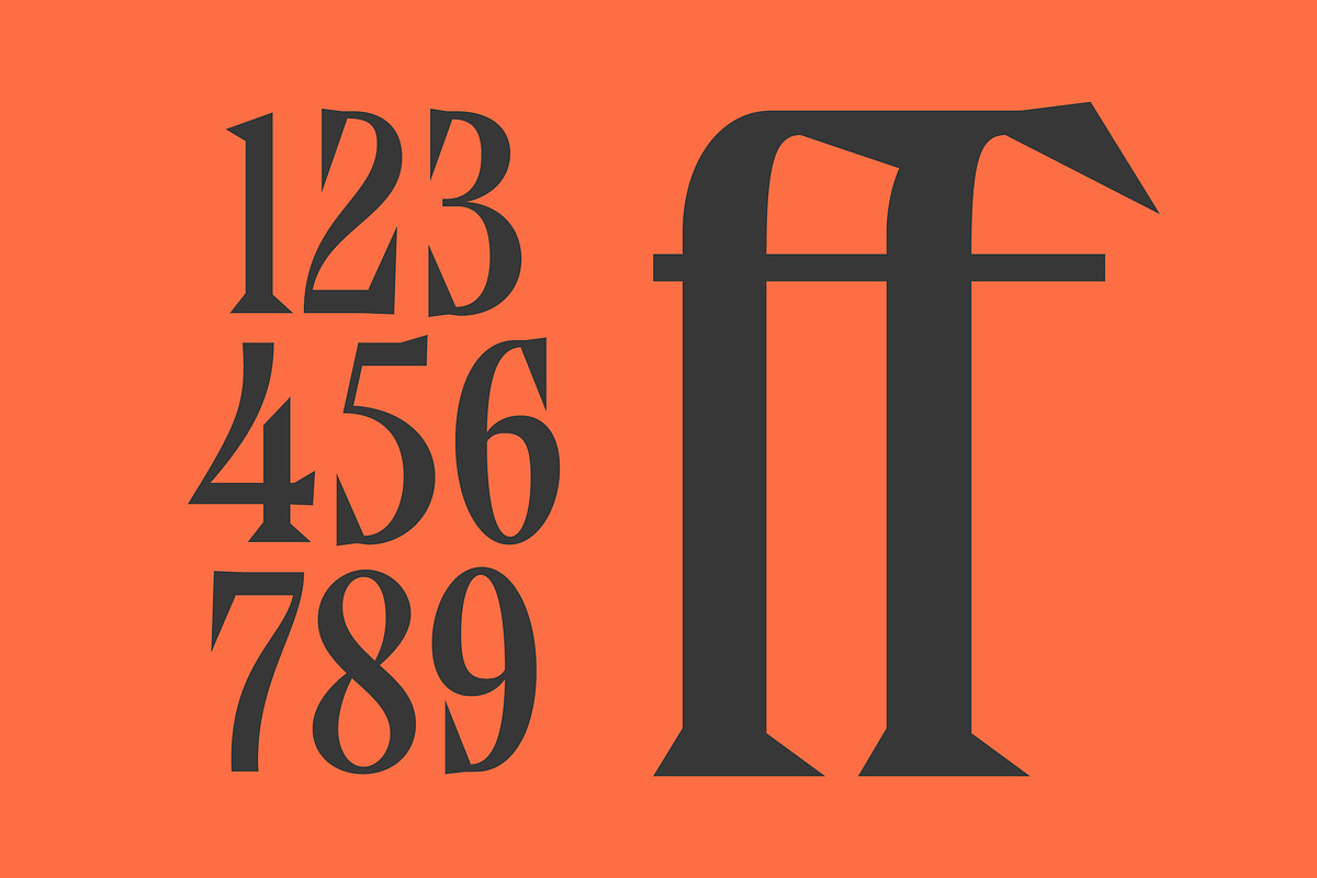 Qandera Modern Display Serif, a Serif Font by timelesstype.co (Photo 9 of 15)