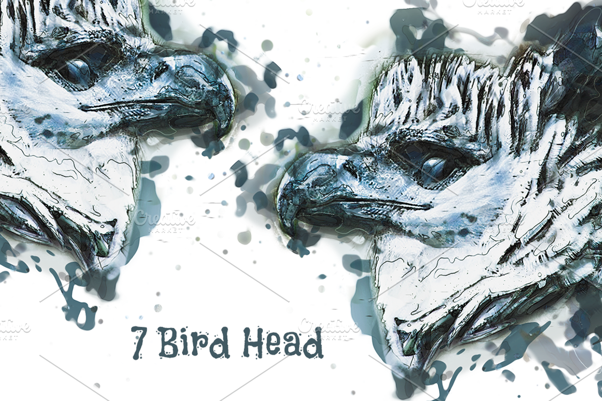 Bird Head Pencil & Watercolor vol 2, an Animal Illustration by Sahade Studio (Photo 2 of 3)