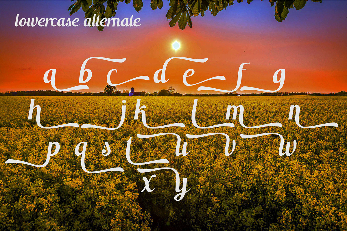Switzerland, a Script Font by Funtype (Photo 13 of 14)