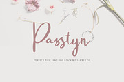 Passtyn - Handwritten Font Duo, a Script Font by Craft Supply Co. (Thumbnail 1 of 11)