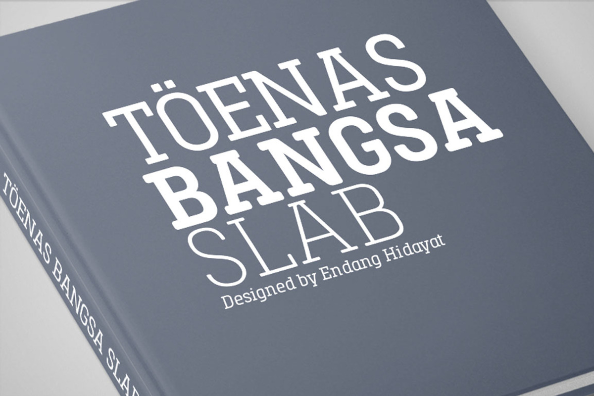 Toenas Bangsa Font Family, a Slab Serif Font by Bang Kumis Typefoundry (Photo 8 of 8)