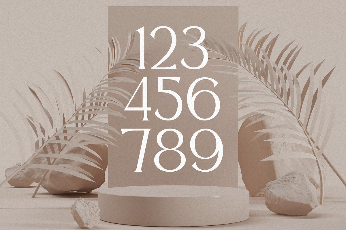 Prestige - Classy Serif Typeface, a Serif Font by HipFonts (Photo 6 of 8)